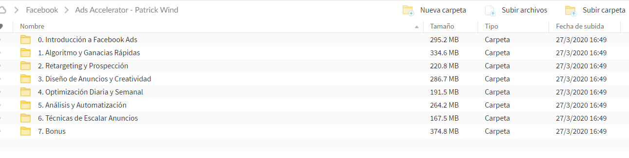 C:UsersGUSTAVODownloadsCurso_Ad_Accelerator_-_Patrick_Wild.png